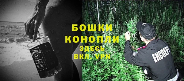 прущий лед Пестово
