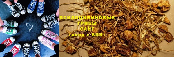 mdpv Пересвет
