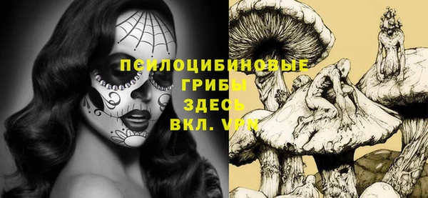 спиды Беломорск